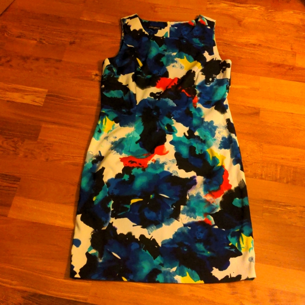 Like New Multi Color Dress